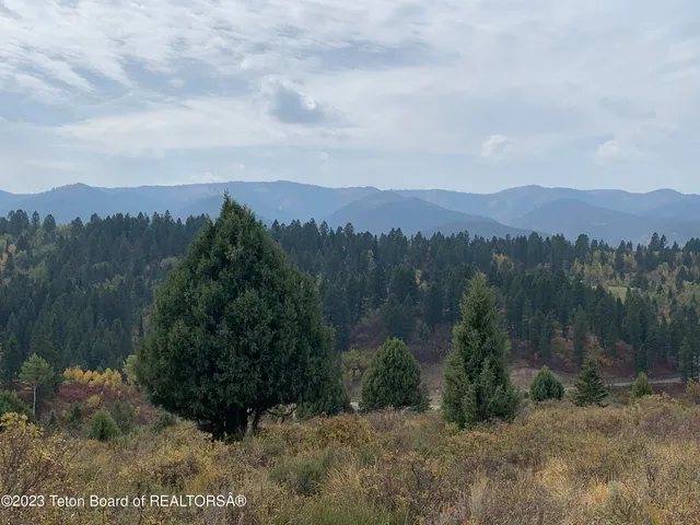 $174,900 | L63-blk4 Cutthroat Run, Irwin, ID 83428