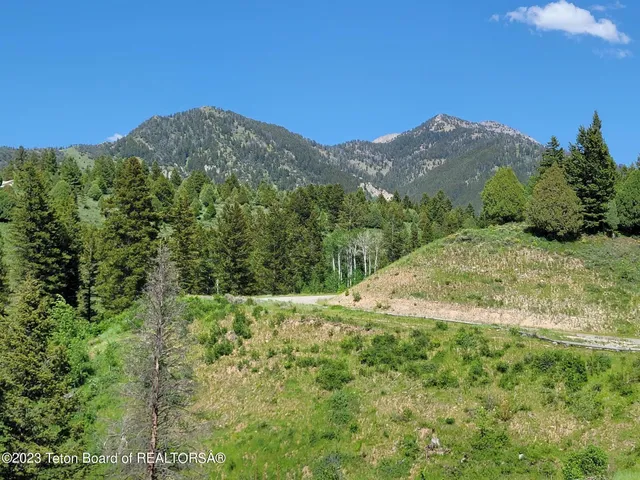 $174,900 | L63-blk4 Cutthroat Run, Irwin, ID 83428