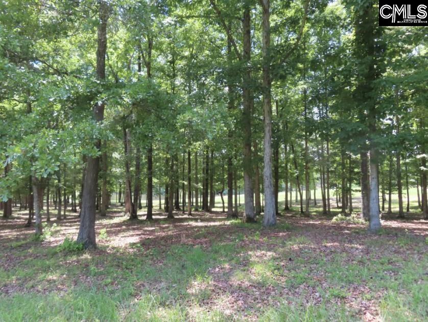 3296 Flat Rock Road Kershaw, SC 29067 - Photo 32 of 94