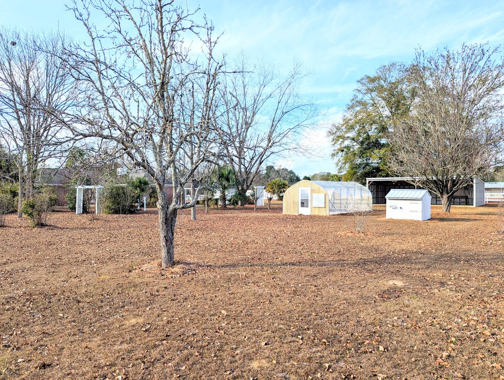 3117 Holland Road Newton, AL 36352 - Photo 55 of 71
