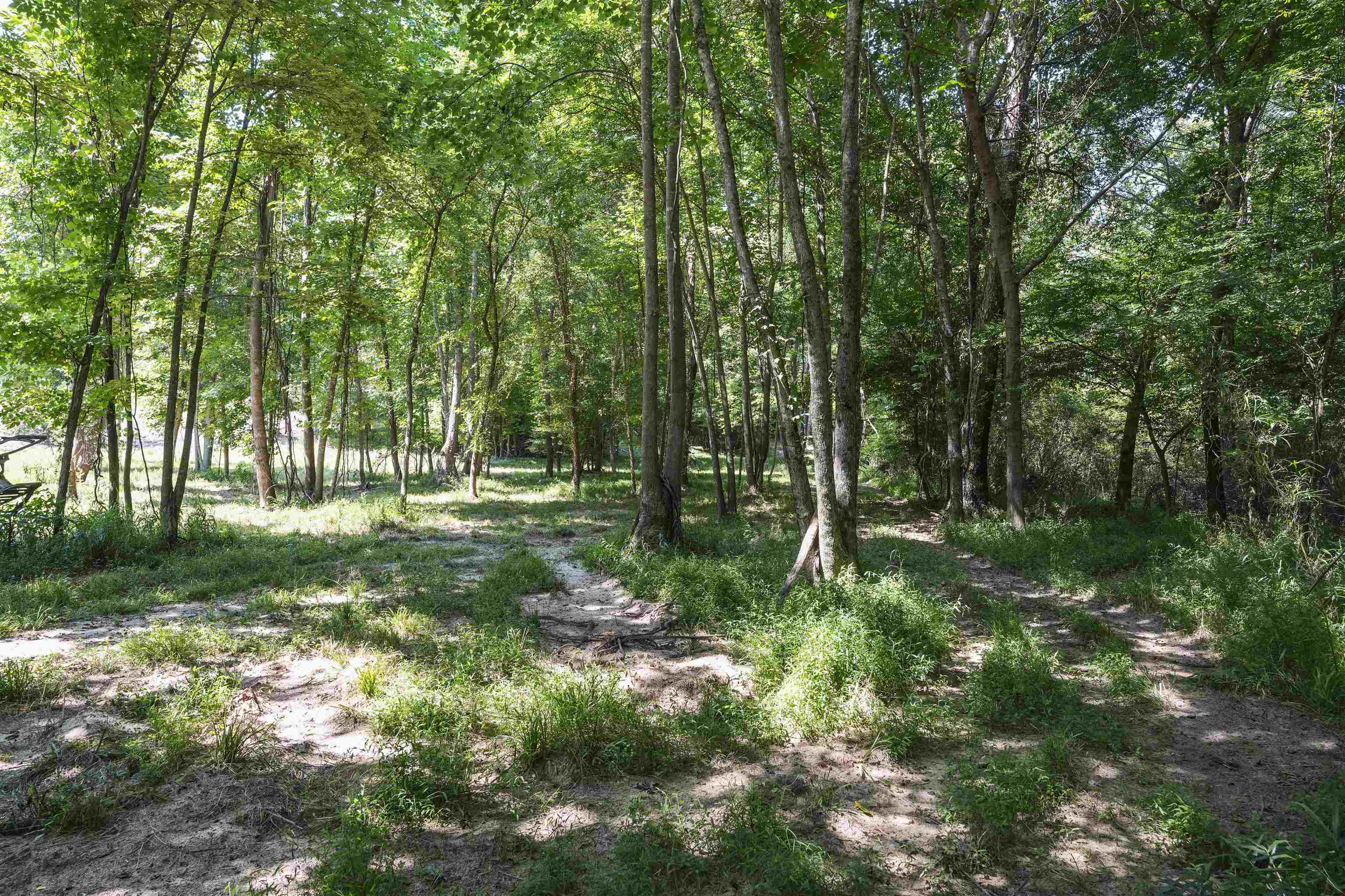106 Turkey Lane Fountain Inn, SC 29644 - Photo 36 of 36