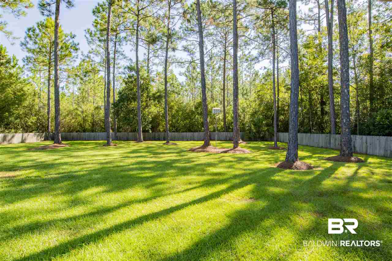 9110 Bay Point Drive Elberta, AL 36530 - Photo 36 of 50 Backs up to woods.