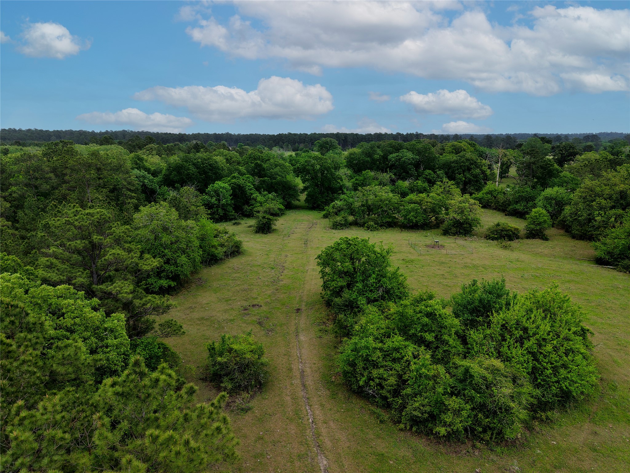 1791 Rd Richards Tx 77873 Road Richards, TX 77873 - Photo 19 of 25 Gallery Image 19
