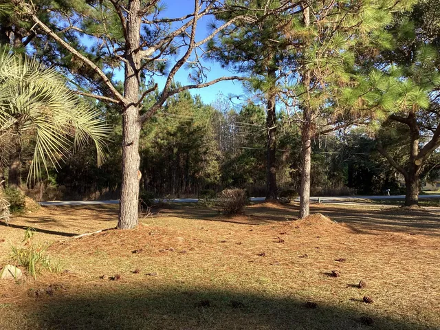 $415,900 | 2047 Highway 35, St. Stephen, SC 29479