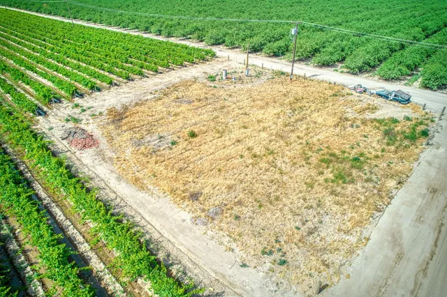 a view of a yard with plants and wooden fence