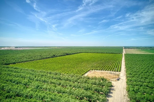 a view of a field with an ocean