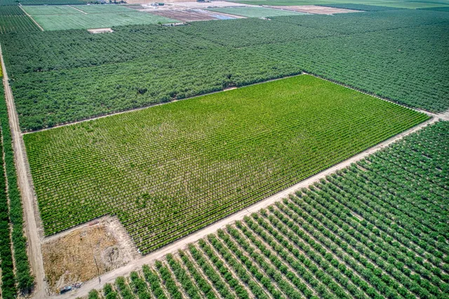 a view of a backyard with a garden