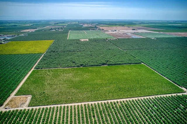 a view of a swimming pool with a garden