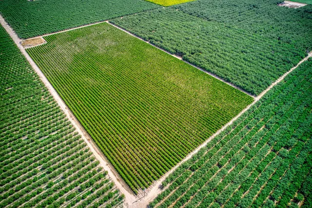 a view of a yard from a balcony