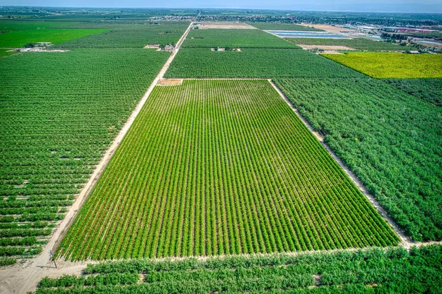 a view of a swimming pool with a garden