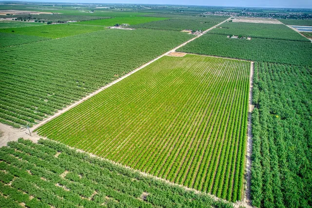 a green field with lots of green space
