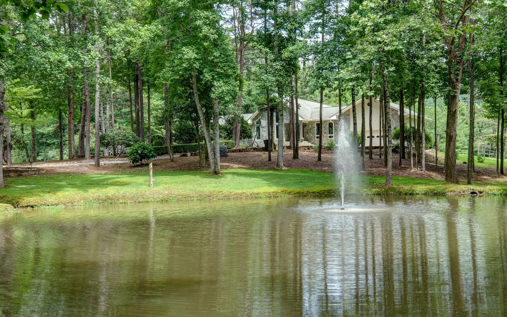 Main View