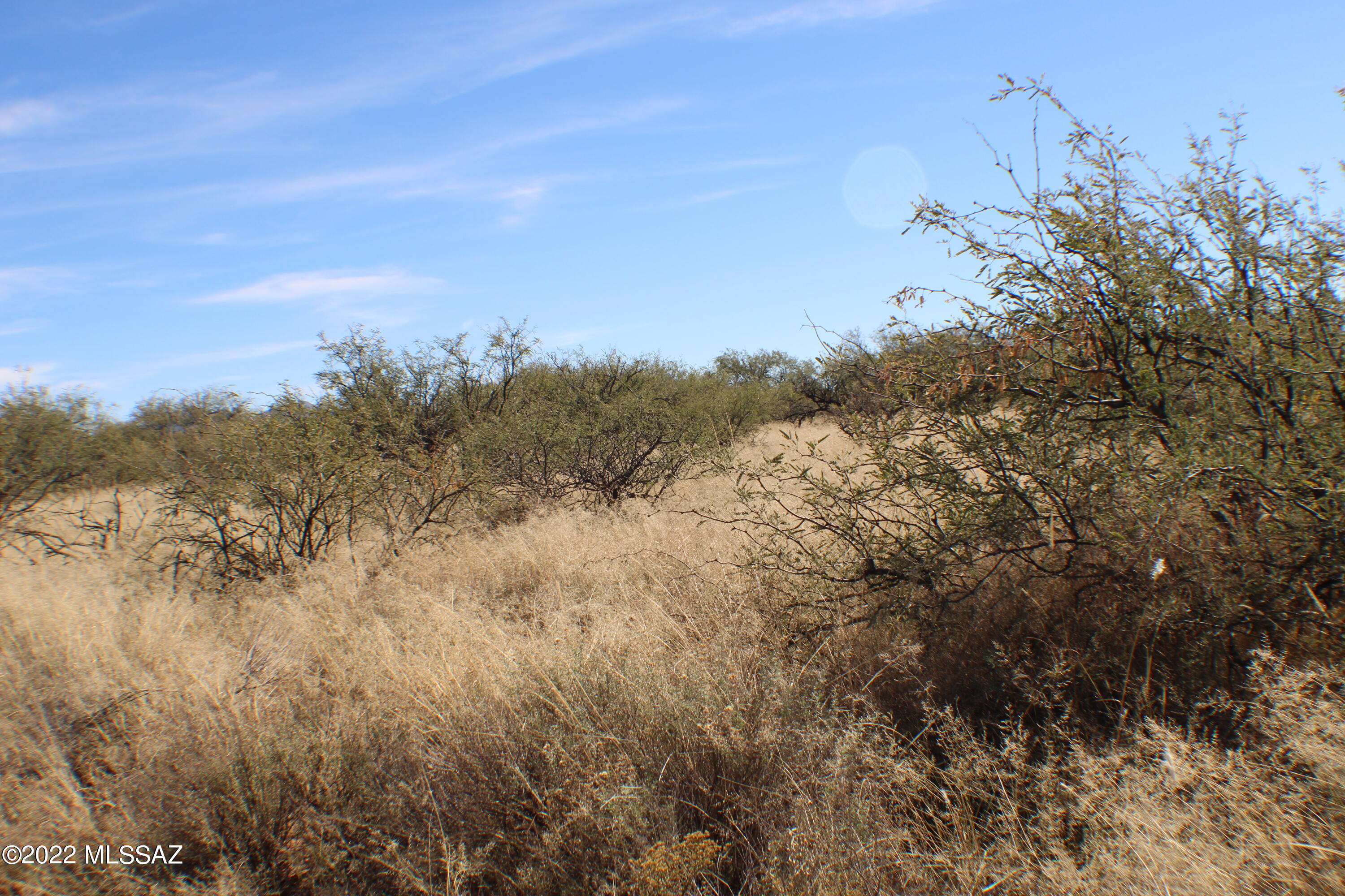 East De Vaca Circle St. David, AZ 85630 - Photo 3 of 20