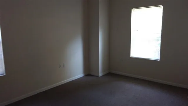 $1,400 | 500 McKeithen Street, Unit 311, Tallahassee, FL 32304