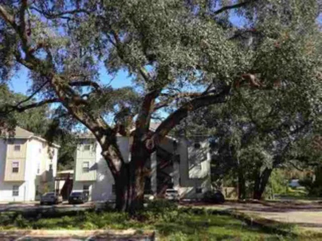 $1,400 | 500 McKeithen Street, Unit 311, Tallahassee, FL 32304