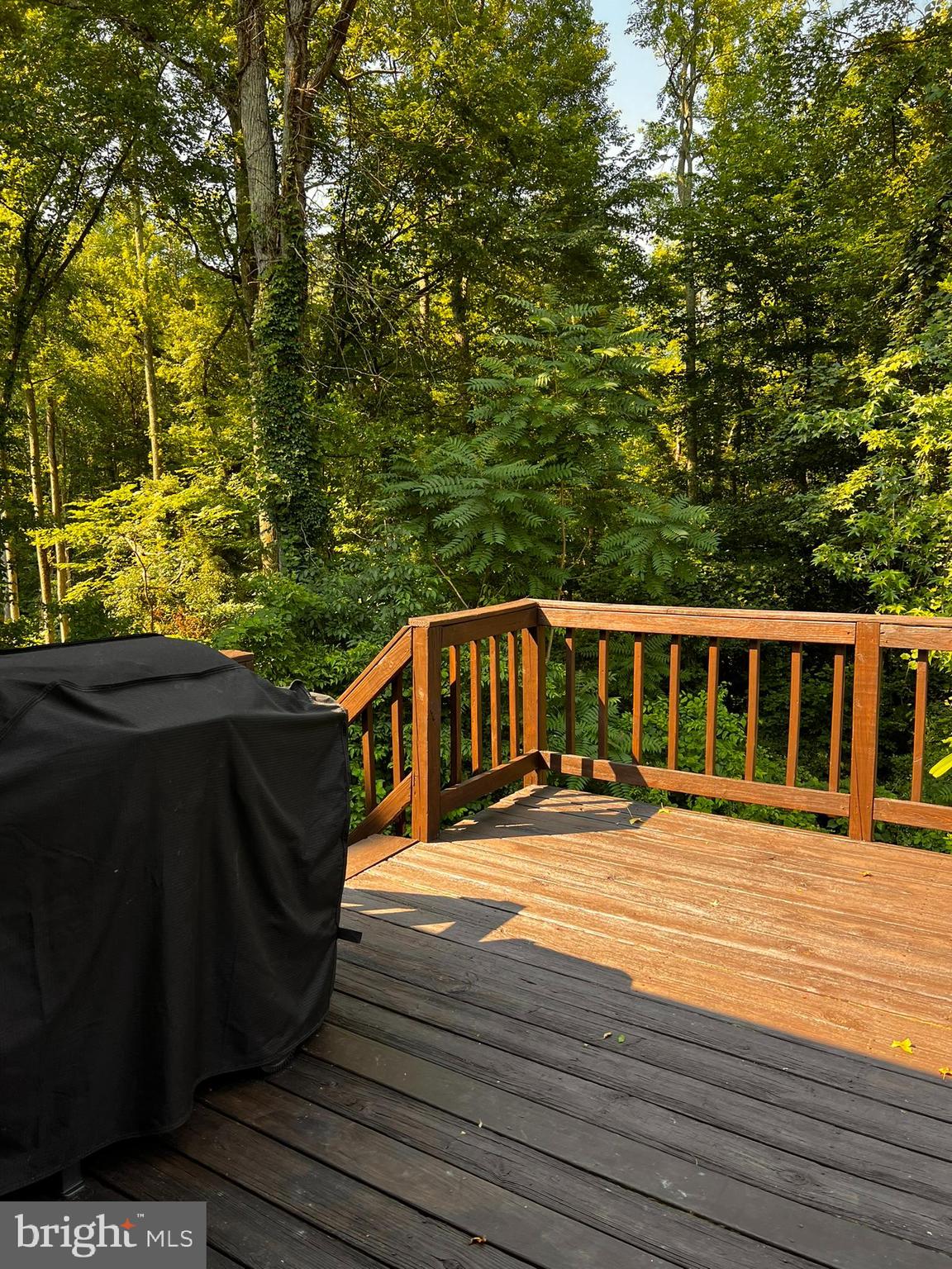 102 Valley View Road Fredericksburg, VA 22407 - Photo 42 of 47 View from Deck