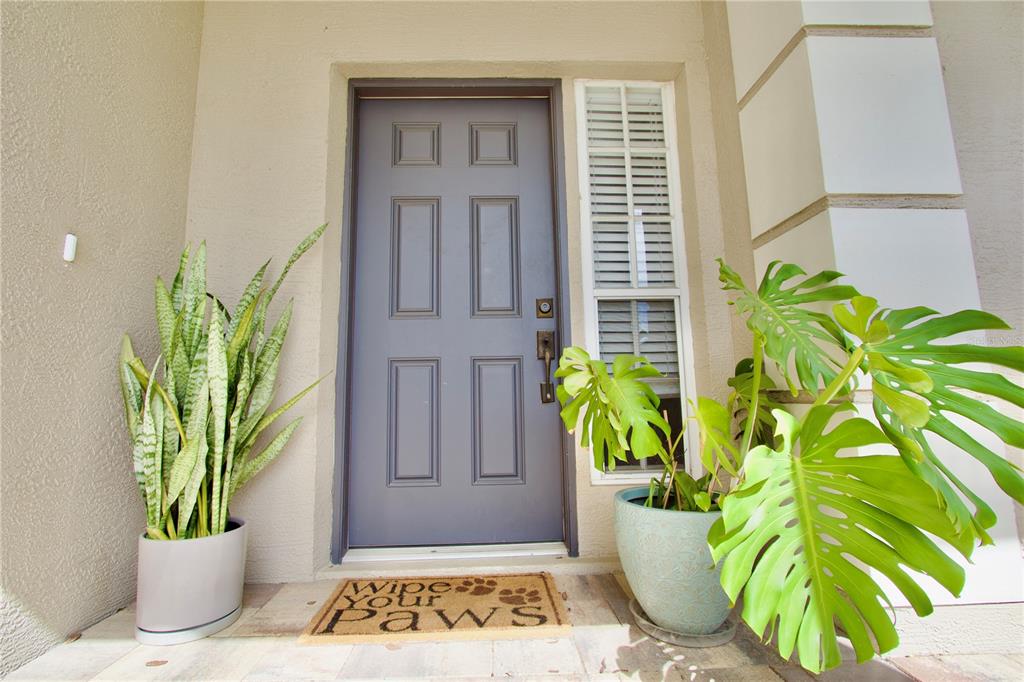 2211 Ground Squirrel Drive New Port Richey, FL 34655 - Photo 6 of 33