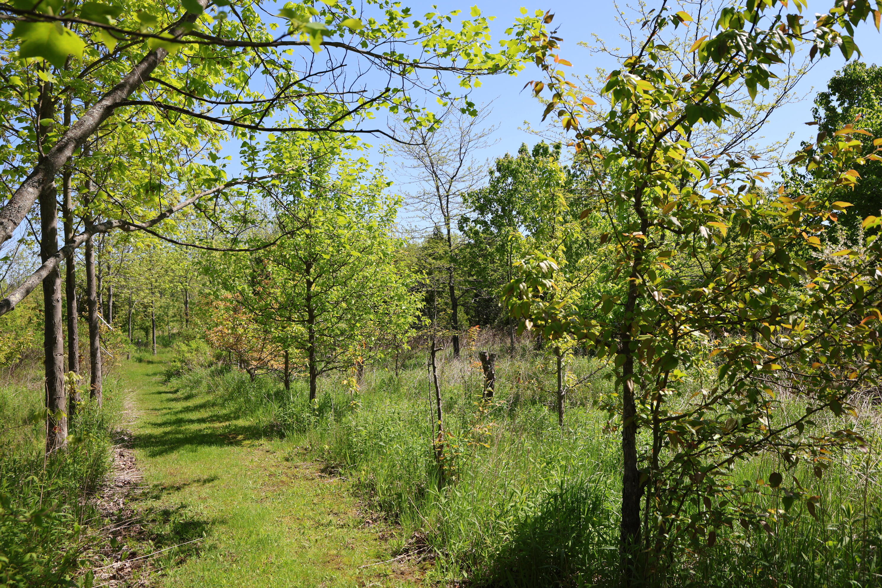 281 Post Road Bowdoinham, ME 04008 - Photo 43 of 104 IMG_3006 1