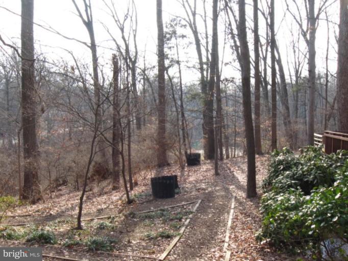 Walking Paths