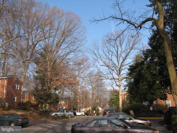 Neighborhood View
