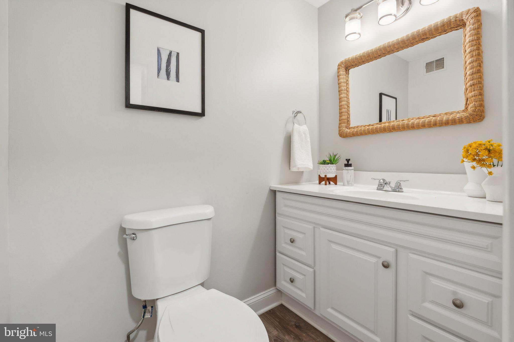1602 Blue Meadow Road Potomac, MD 20854 - Photo 45 of 47 Lower Level Powder Room