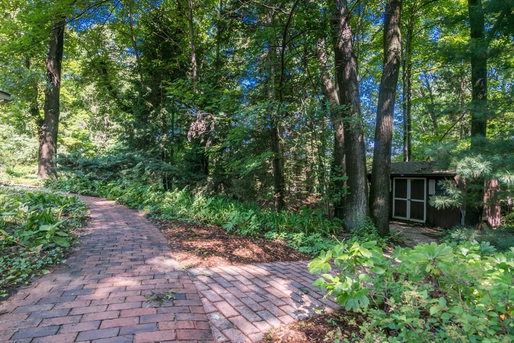 100 Hilltop Road Longmeadow, MA 01106 - Photo 40 of 42