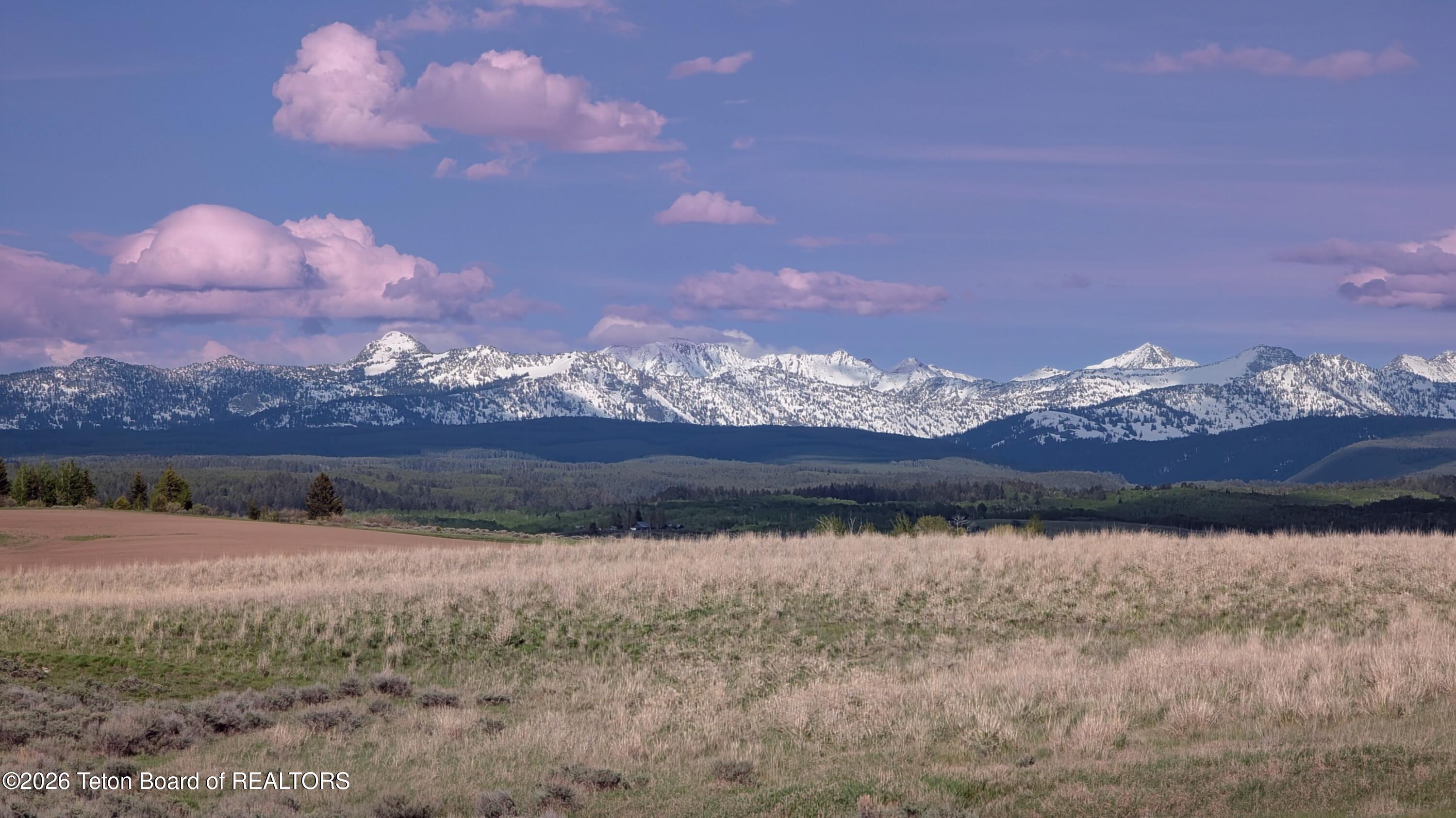 2075 Moose Path Way Tetonia, ID 83452 - Photo 14 of 15 PXL_20250523_235232850~2