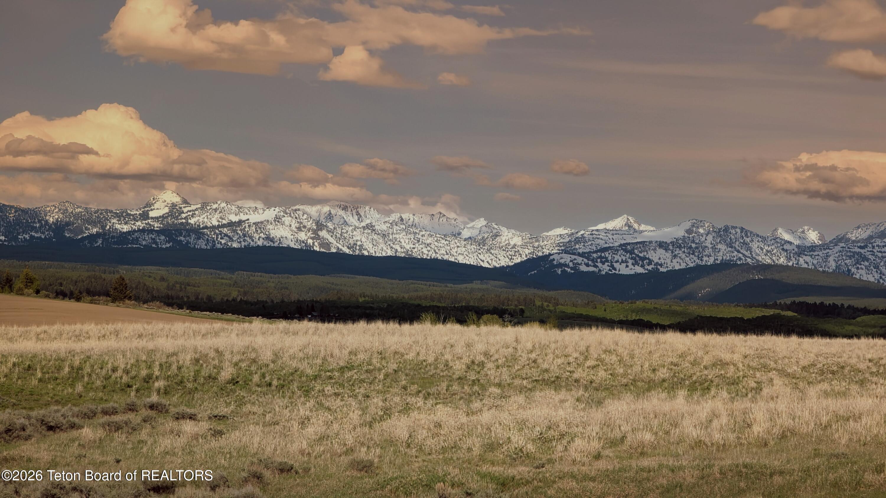2075 Moose Path Way Tetonia, ID 83452 - Photo 10 of 15 PXL_20250523_234928556~2