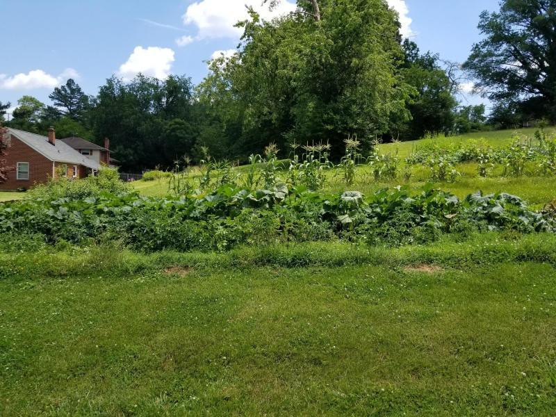 7006 Plantation Road Roanoke, VA 24019 - Photo 5 of 28 20190627185046439239000000-o