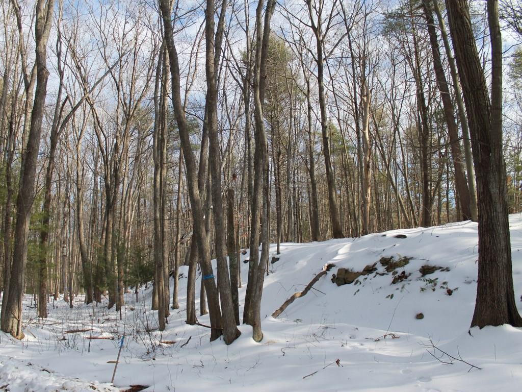 31 Miller Road Kittery, ME 03905 - Photo 4 of 7 Photo