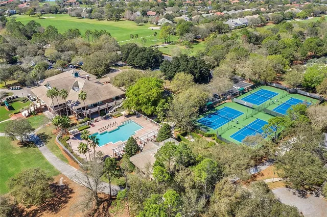 a view of a park with large trees