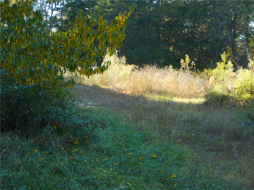 610 Greg Shoals Road Iva, SC 29655 - Photo 4 of 8