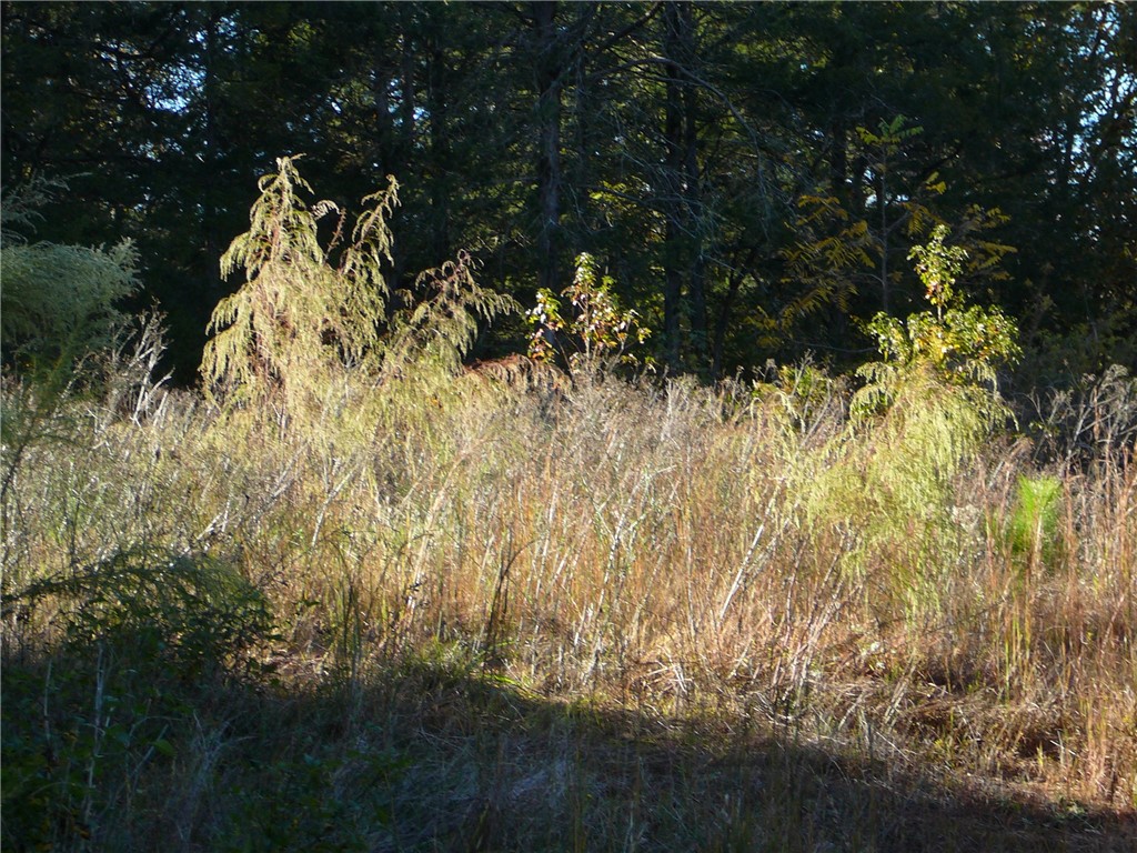 610 Greg Shoals Road Iva, SC 29655 - Photo 5 of 8