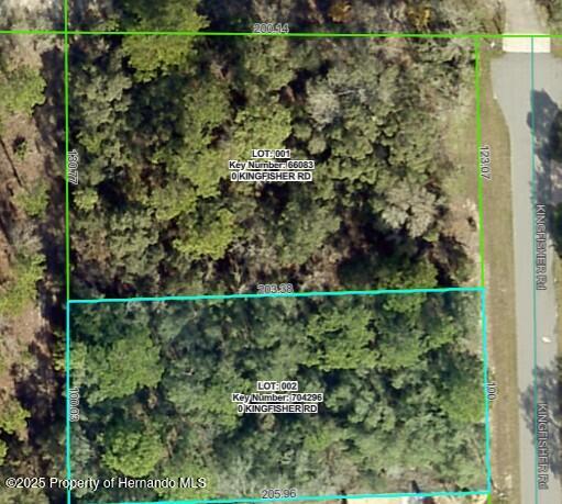 Lot 2 Kingfisher Road Weeki Wachee, FL 34614 - Photo 1 of 1
