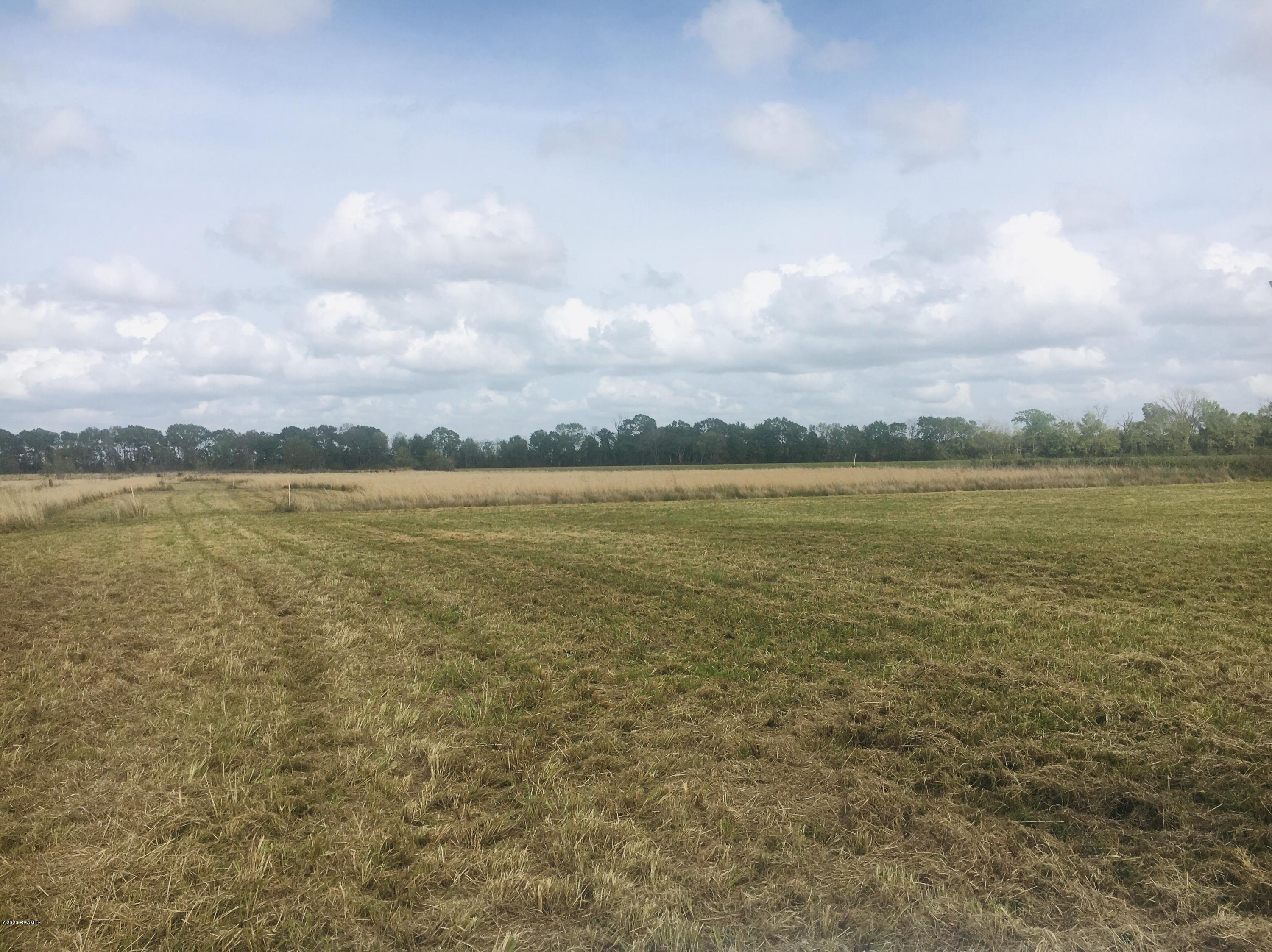 2413 Vida Shaw Road New Iberia, LA 70563 - Photo 1 of 7 IMG-5485
