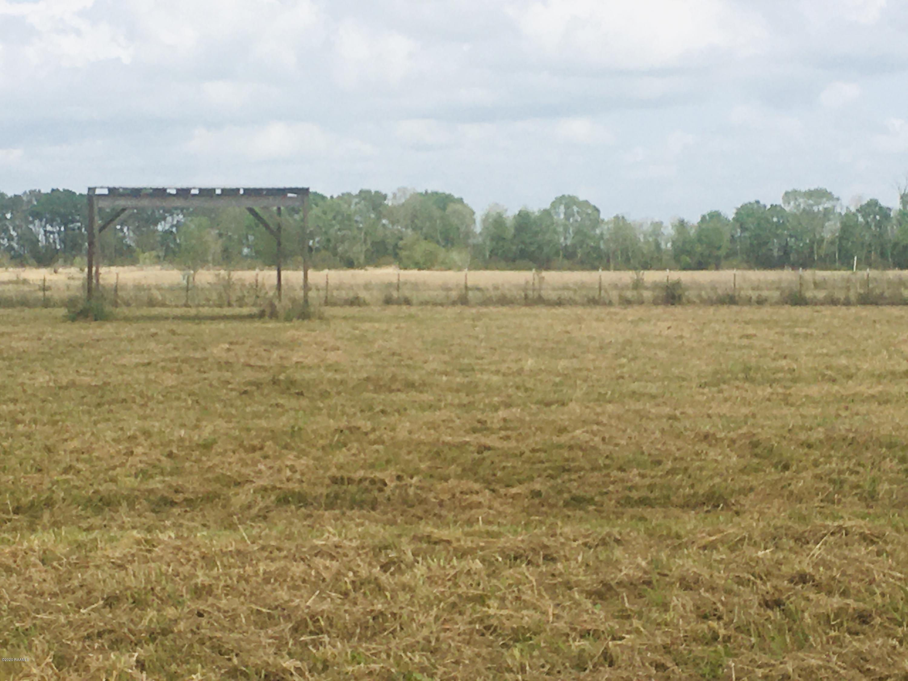 2413 Vida Shaw Road New Iberia, LA 70563 - Photo 4 of 7 IMG-5488