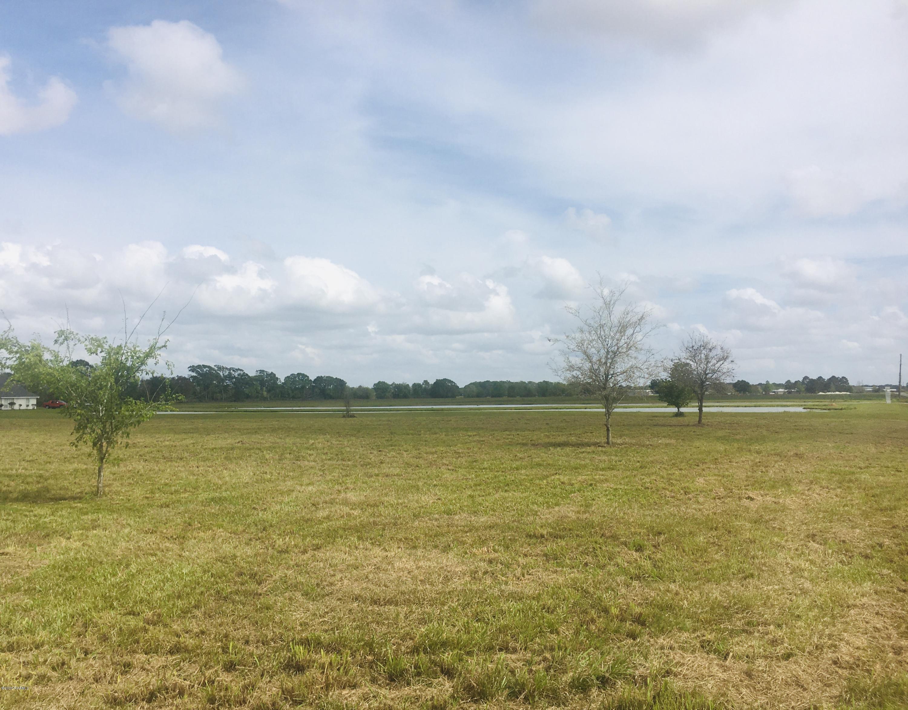 2413 Vida Shaw Road New Iberia, LA 70563 - Photo 6 of 7 IMG-5492