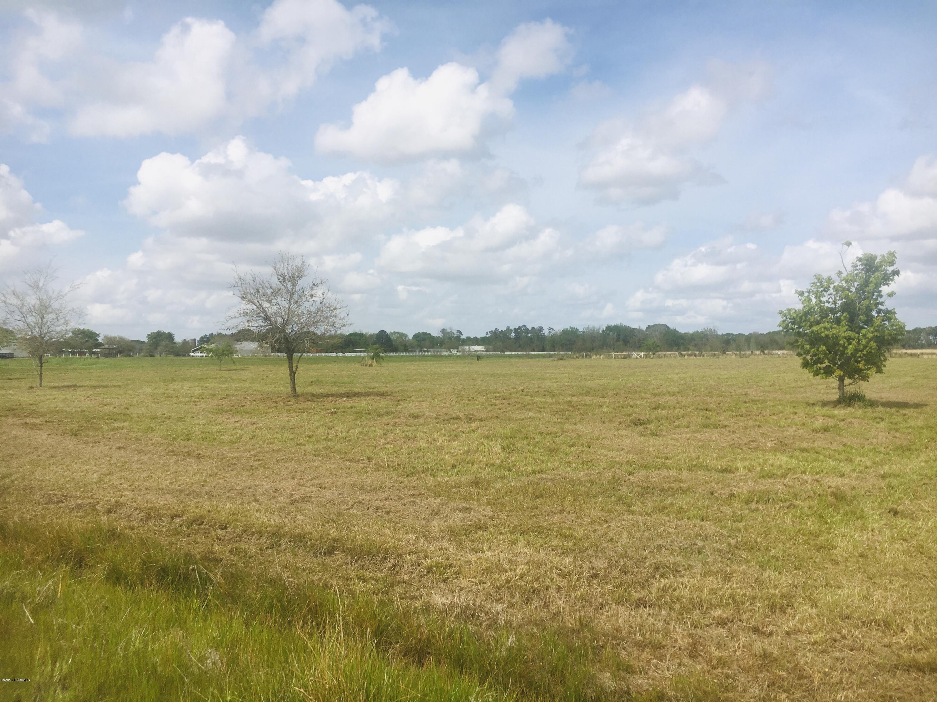 2413 Vida Shaw Road New Iberia, LA 70563 - Photo 7 of 7 IMG-5497
