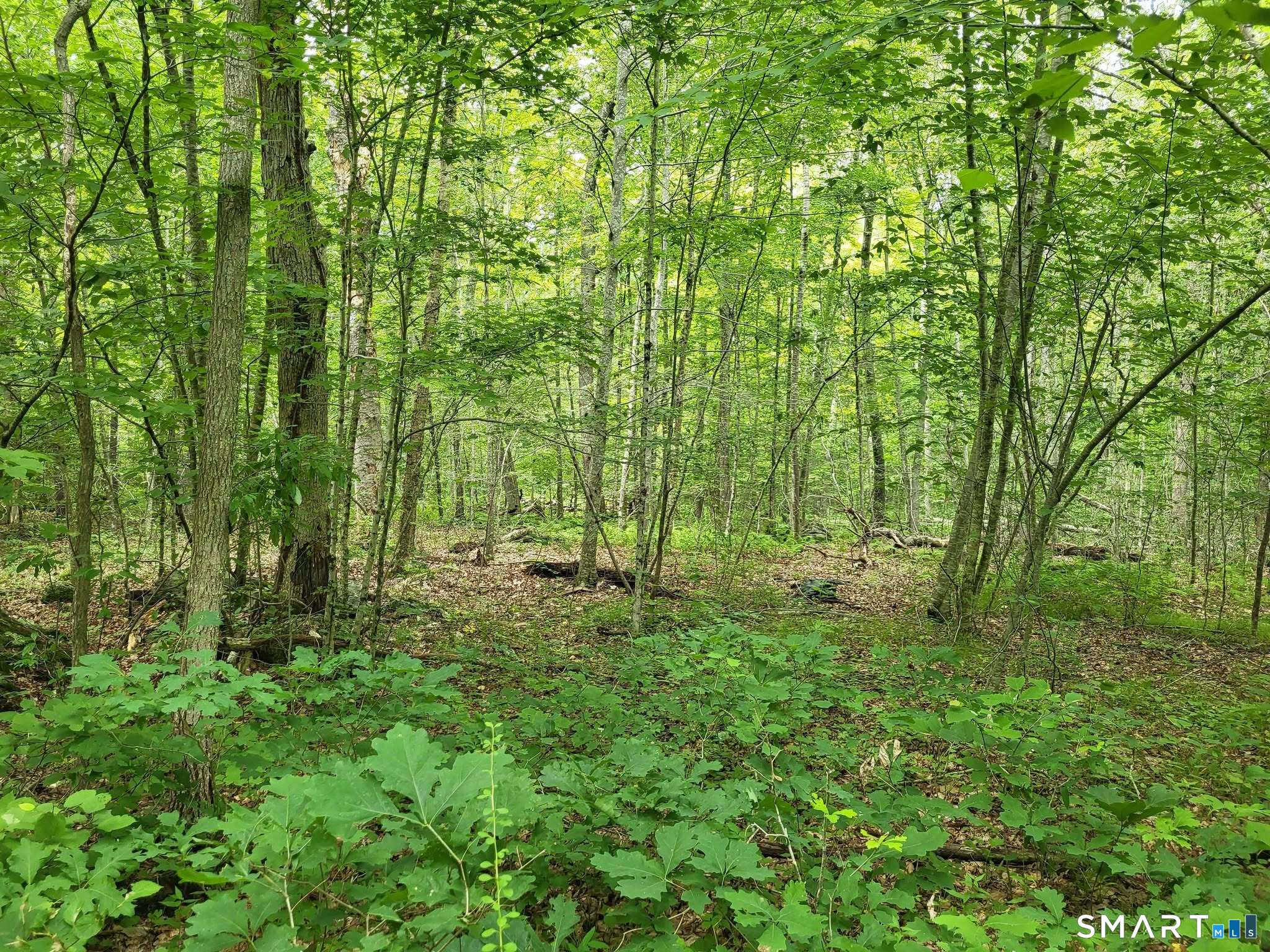 305 Tripp Hollow Road Brooklyn, CT 06234 - Photo 23 of 29