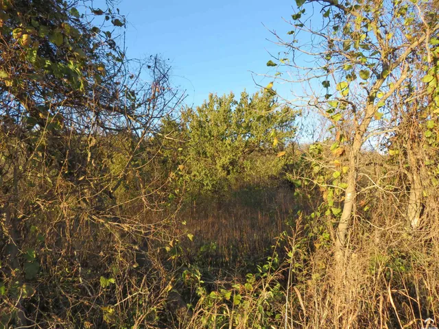 $180,000 | 0 94th Street, Oskaloosa, KS 66066