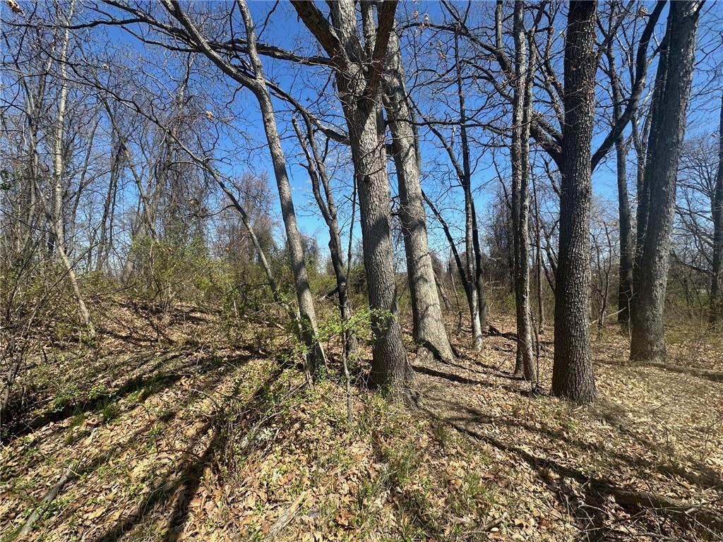 Vl Ridge Road Pittsburgh, PA 15205 - Photo 12 of 18 a view of a backyard of the house