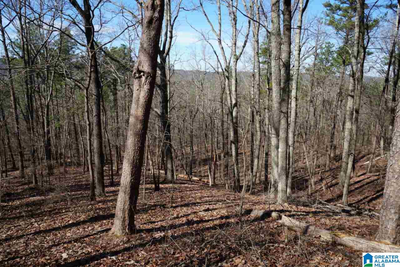 Mystic Valley View, Unit 1 Sterrett, AL 35147 - Photo 9 of 33