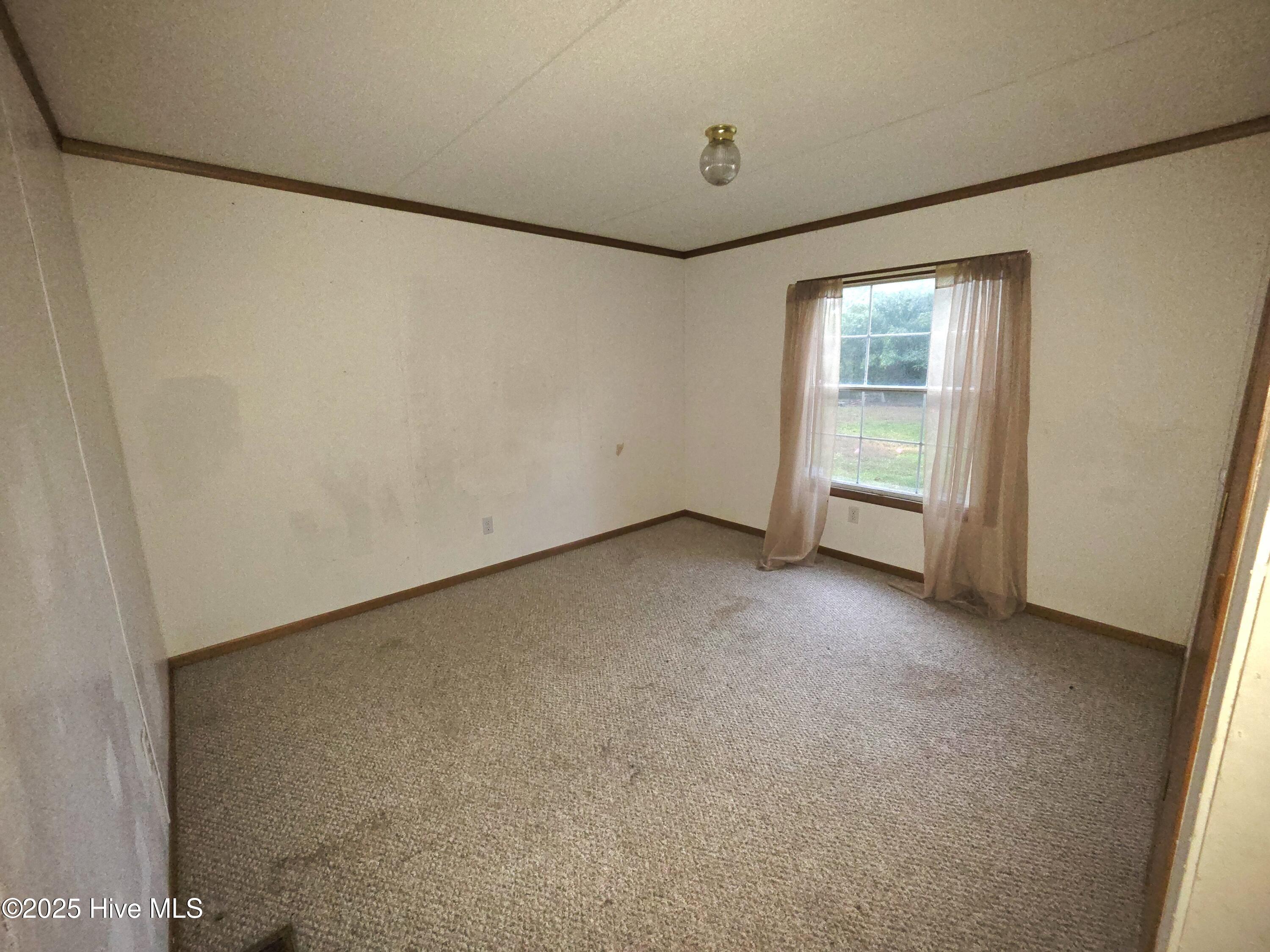 439 Audrey Lane New Bern, NC 28560 - Photo 16 of 24 20251028_172934