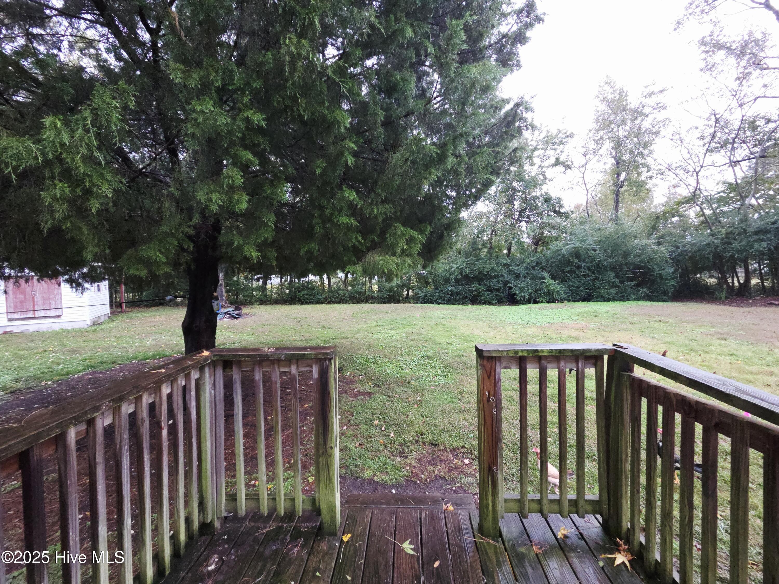 439 Audrey Lane New Bern, NC 28560 - Photo 21 of 24 20251028_173551