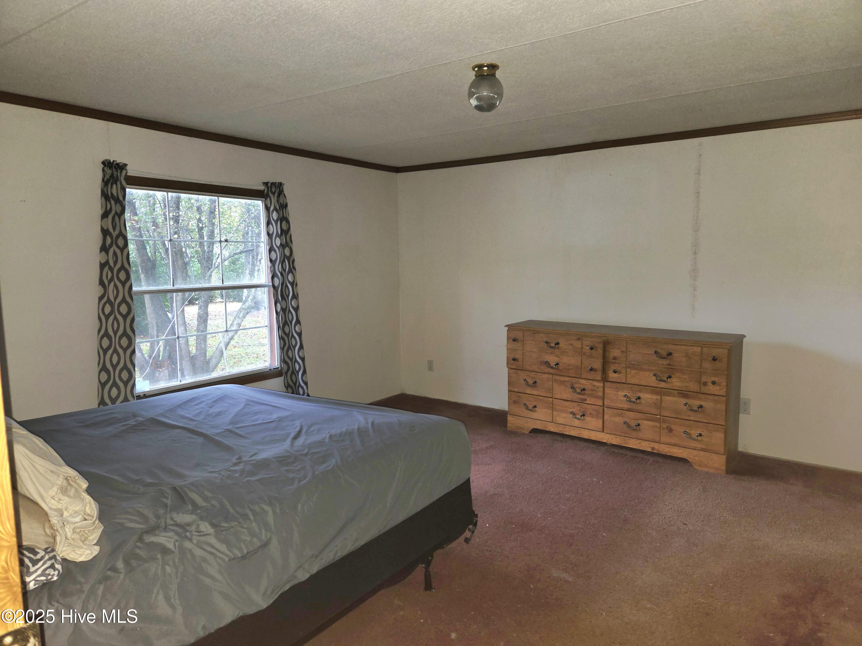 439 Audrey Lane New Bern, NC 28560 - Photo 9 of 24 20251028_172038