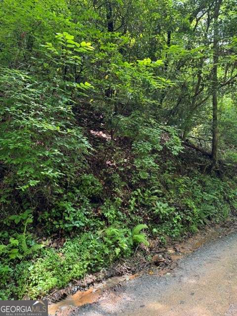 Lot 2 Kells Ridge Ellijay, GA 30540 - Photo 3 of 6