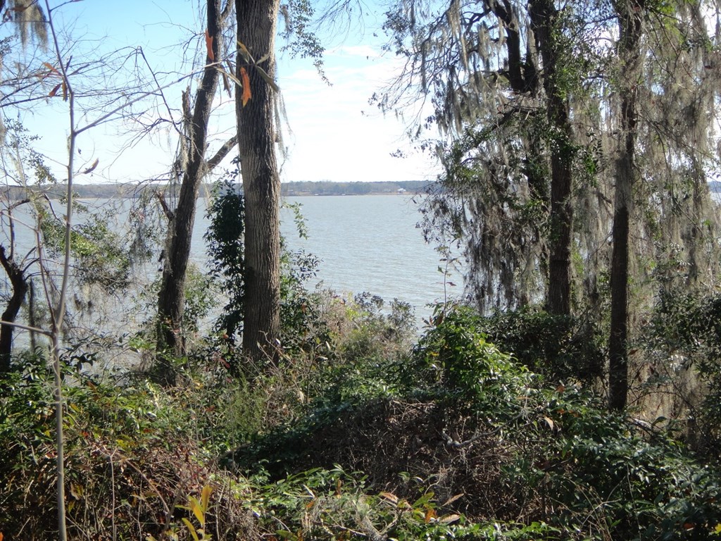 2791 Calhoun Drive Abbeville, AL 36310 - Photo 10 of 12