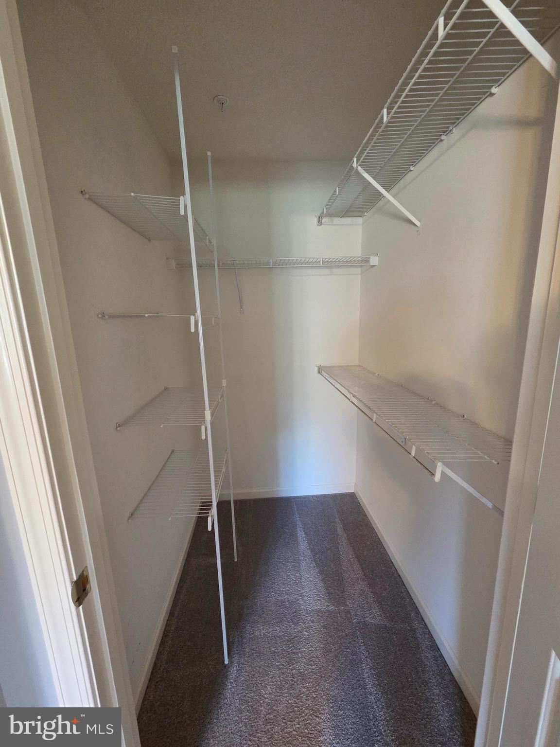 2441 Blue Spring Court, Unit 103 Odenton, MD 21113 - Photo 12 of 16 Primary Closet
