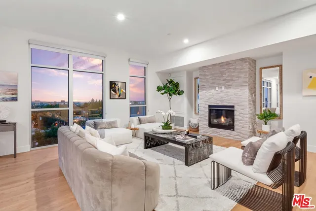 a living room with furniture potted plant and a fireplace