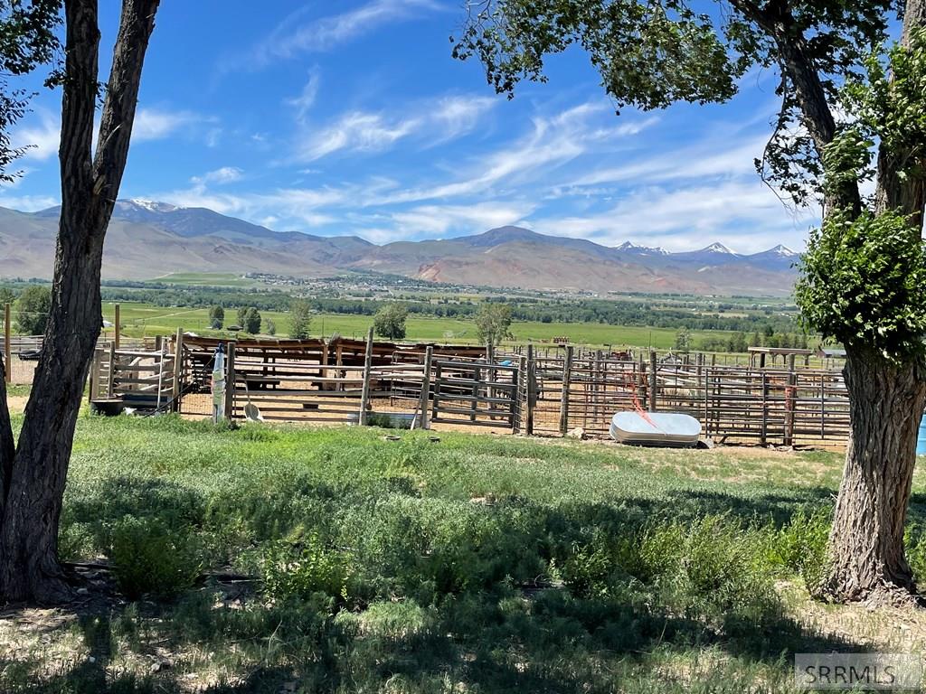 1096 Upper Hot Spgs Road Challis, ID 83226 - Photo 31 of 49